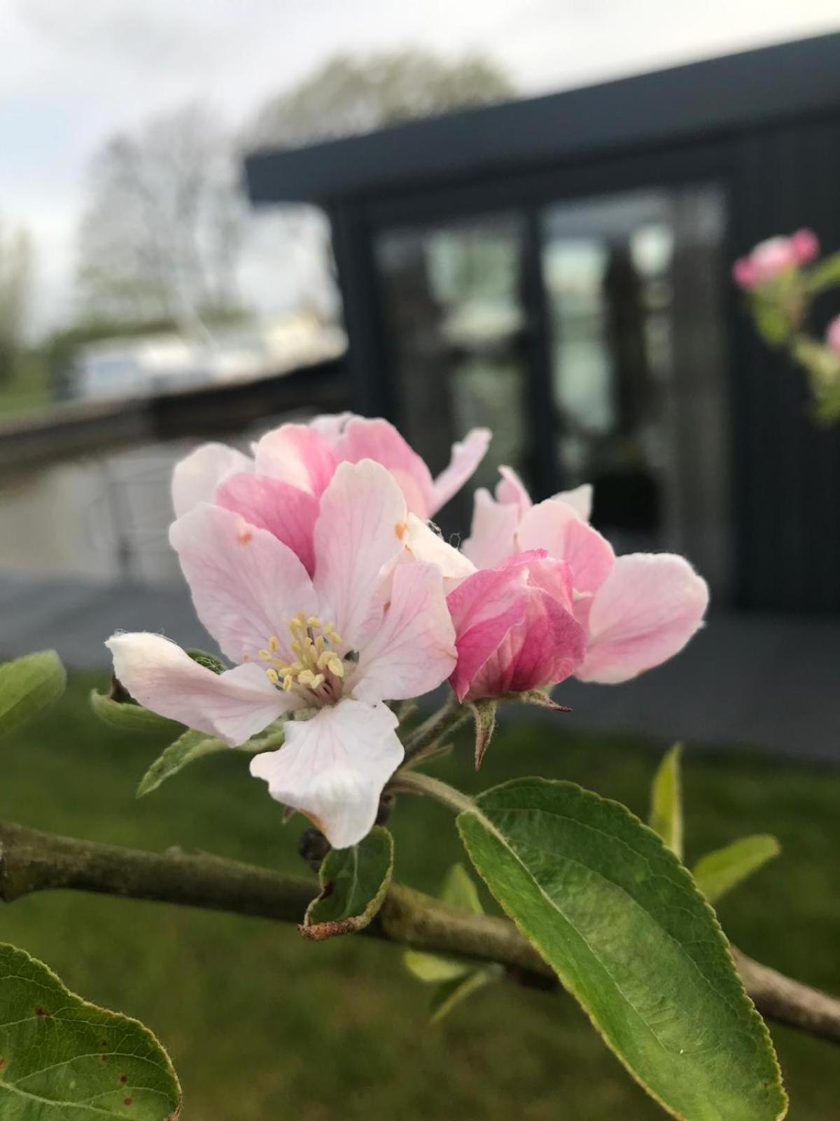 Uniek Overnachten In Een Tiny House Op De Appelhof Wommels Esterno foto