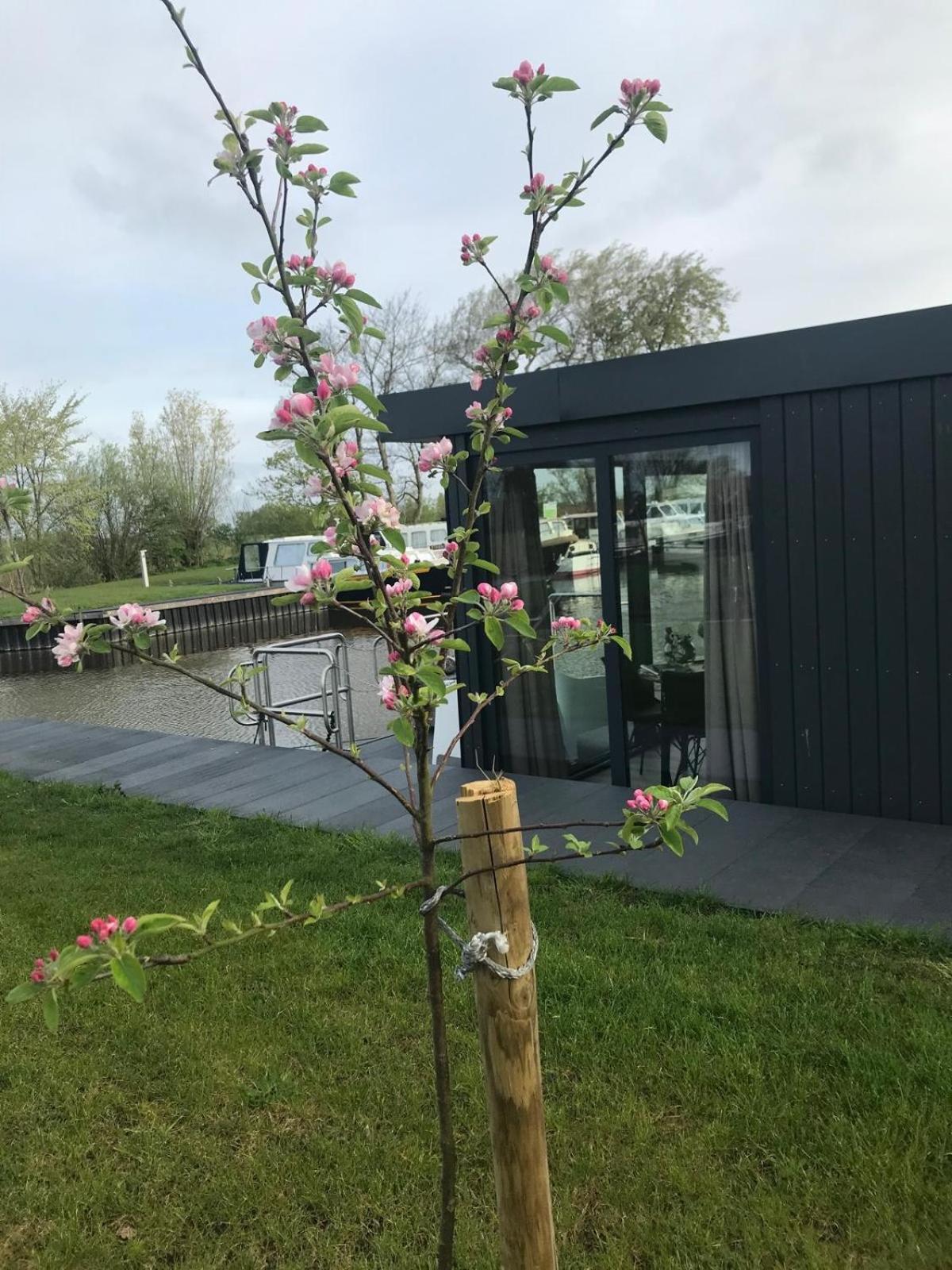 Uniek Overnachten In Een Tiny House Op De Appelhof Wommels Esterno foto