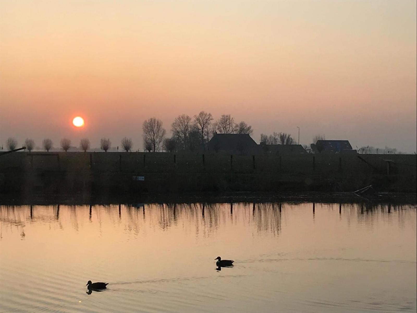 Uniek Overnachten In Een Tiny House Op De Appelhof Wommels Esterno foto